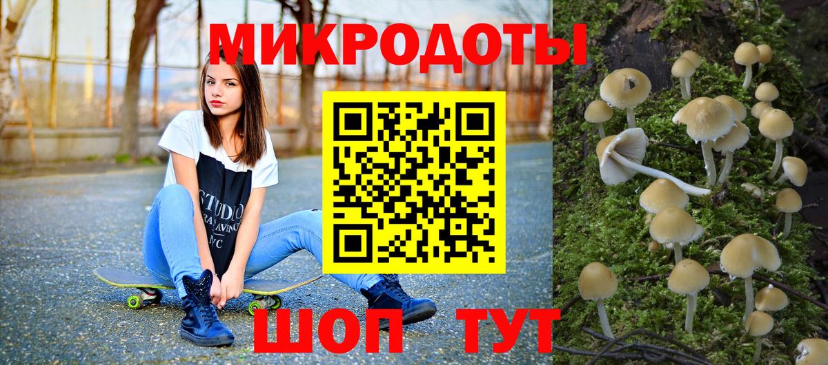 Холмск  Галлюциногенные грибы Magic Shrooms  даркнет сайт  Вход с VPN 