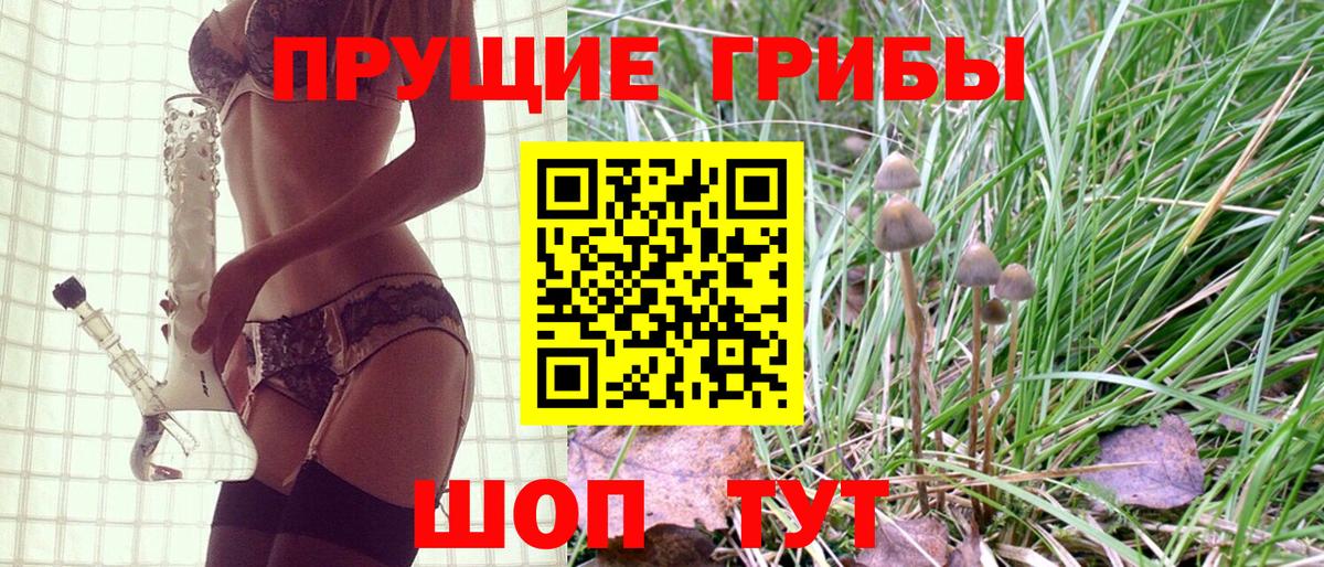 Псилоцибиновые грибы Psilocybe Холмск